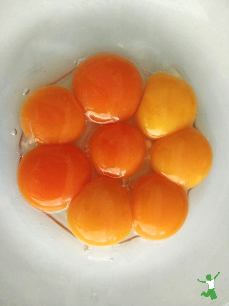 orange egg yolks for making healthy sprouted waffles
