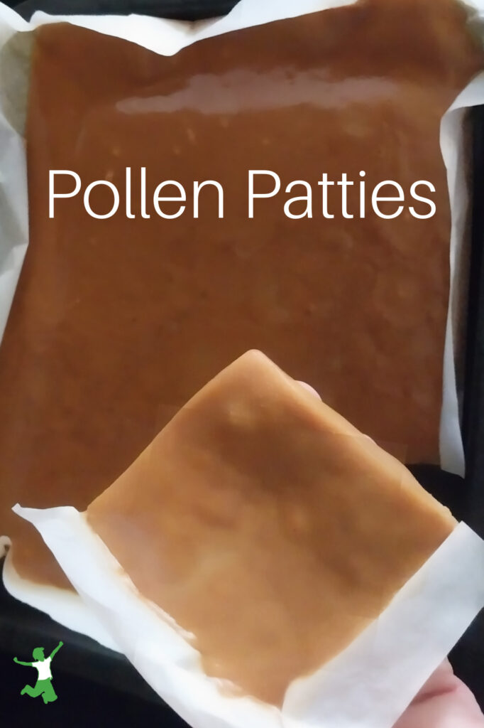 DIY pollen patty for healthy beehive