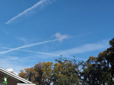 chemtrail or contrail in Tampa, Florida