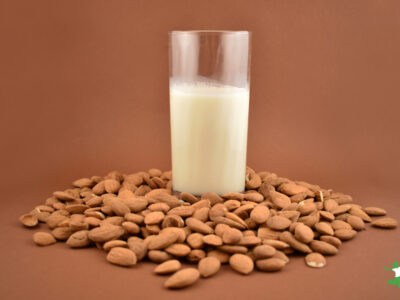 sprouted almond milk in a glass with raw almonds on table