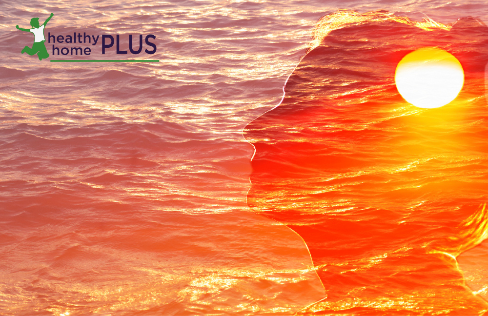 Tips on how to Detox Aluminum from the Mind