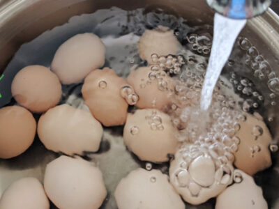 eggs in pot with water to test freshness