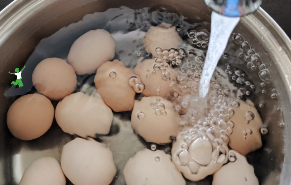 eggs in pot with water to test freshness
