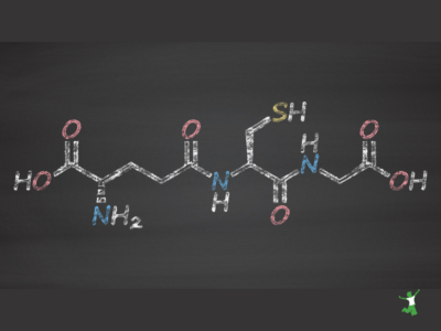 master antioxidant glutathione molecule