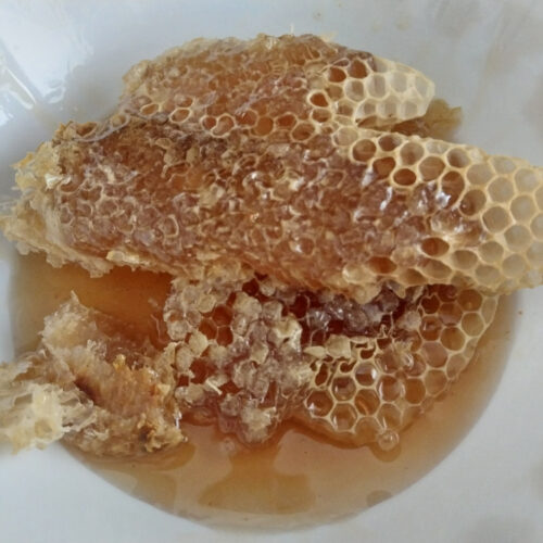 How To Make A Pollen Patty Healthy Home Economist