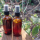 American beautyberry bug spray in amber bottles