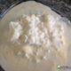 cultivated kefir grains on clear glass plate