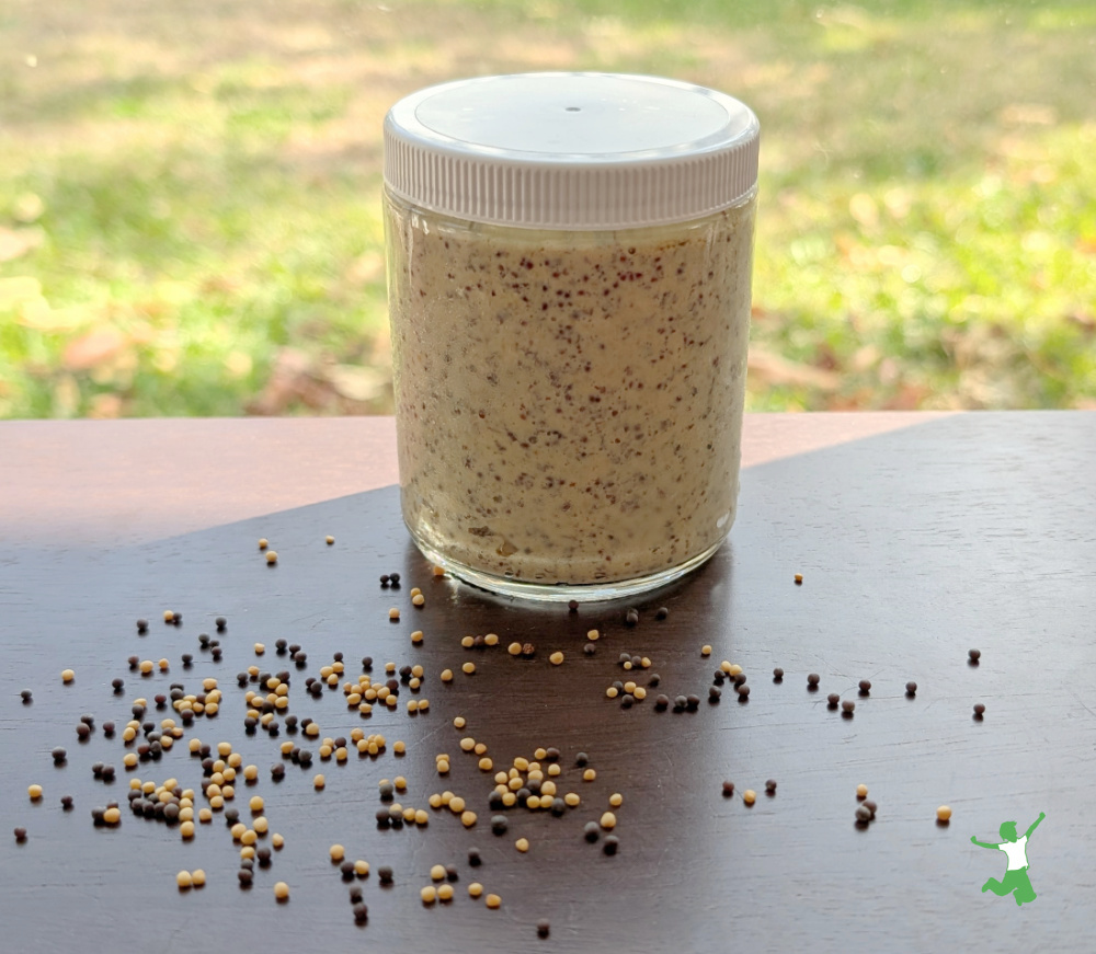 whole grain dijon mustard cultured in glass jar