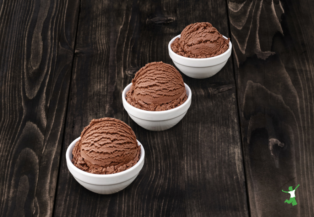dairy free chocolate ice cream scoops in white bowls