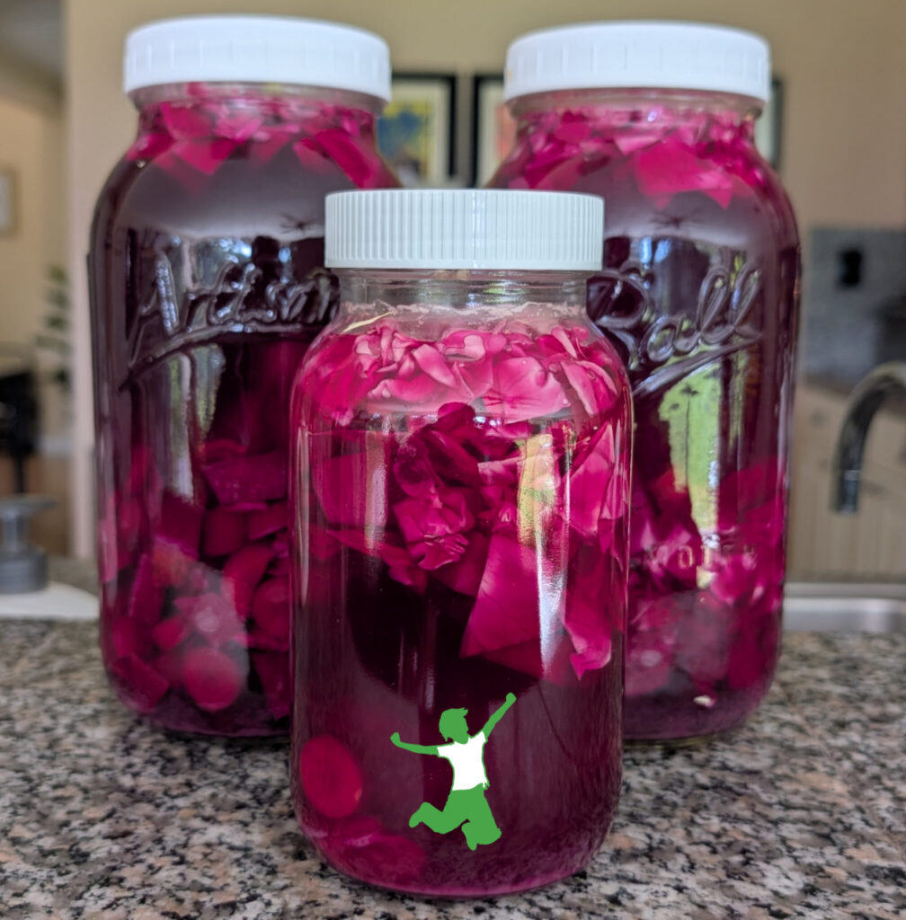 cultured vegetable mixture in mason jars