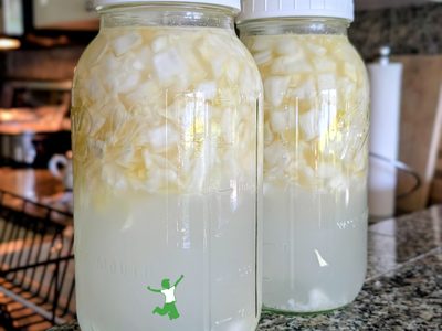easy cabbage tonic in large mason jars on counter