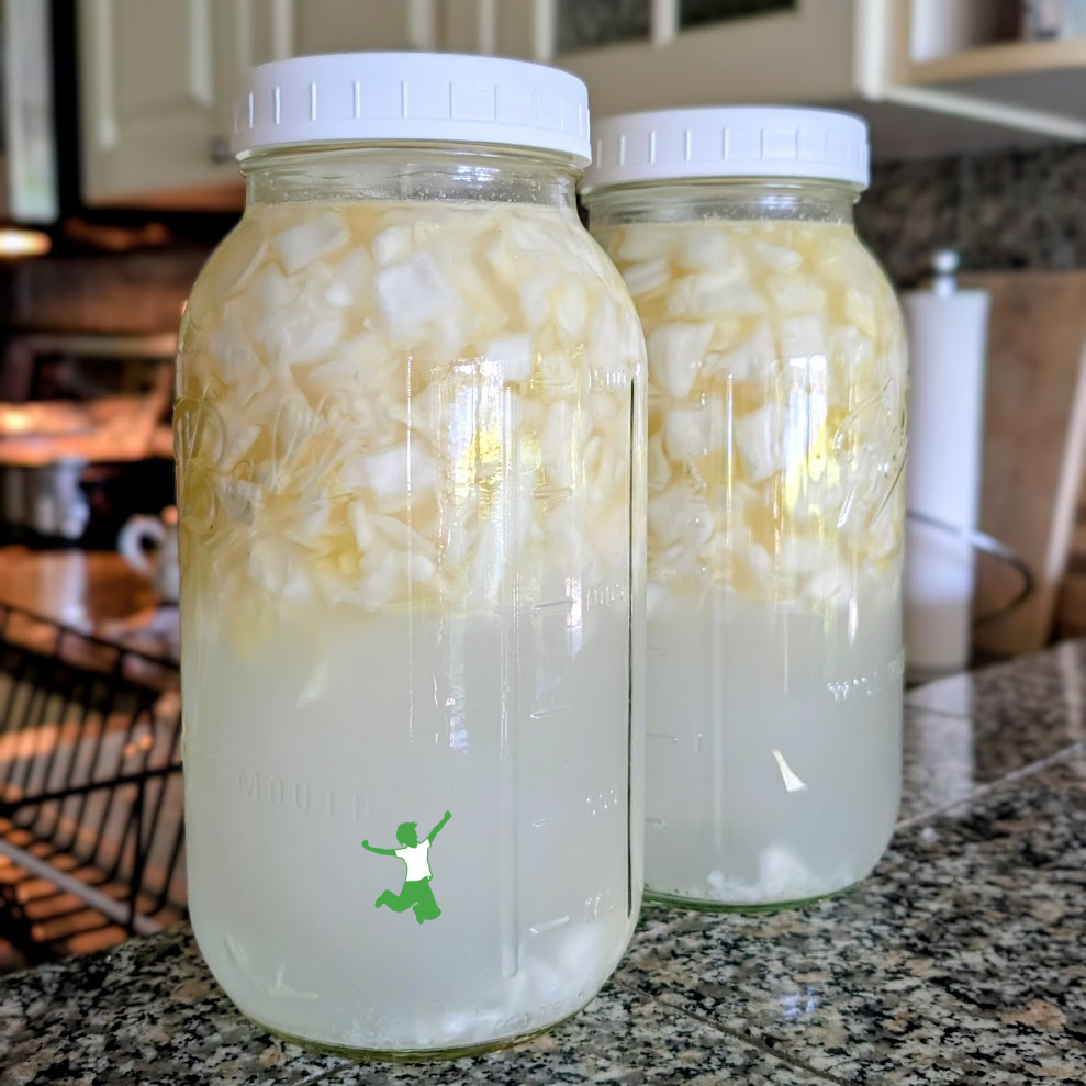 easy cabbage tonic in large mason jars on counter